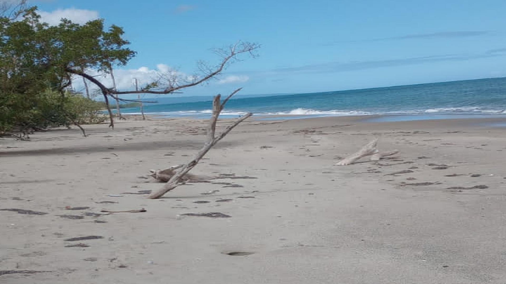 Terreno-en-primera-linea-de-playa-de-venta-en-gaspar-hernandez-republica-dominicana-4