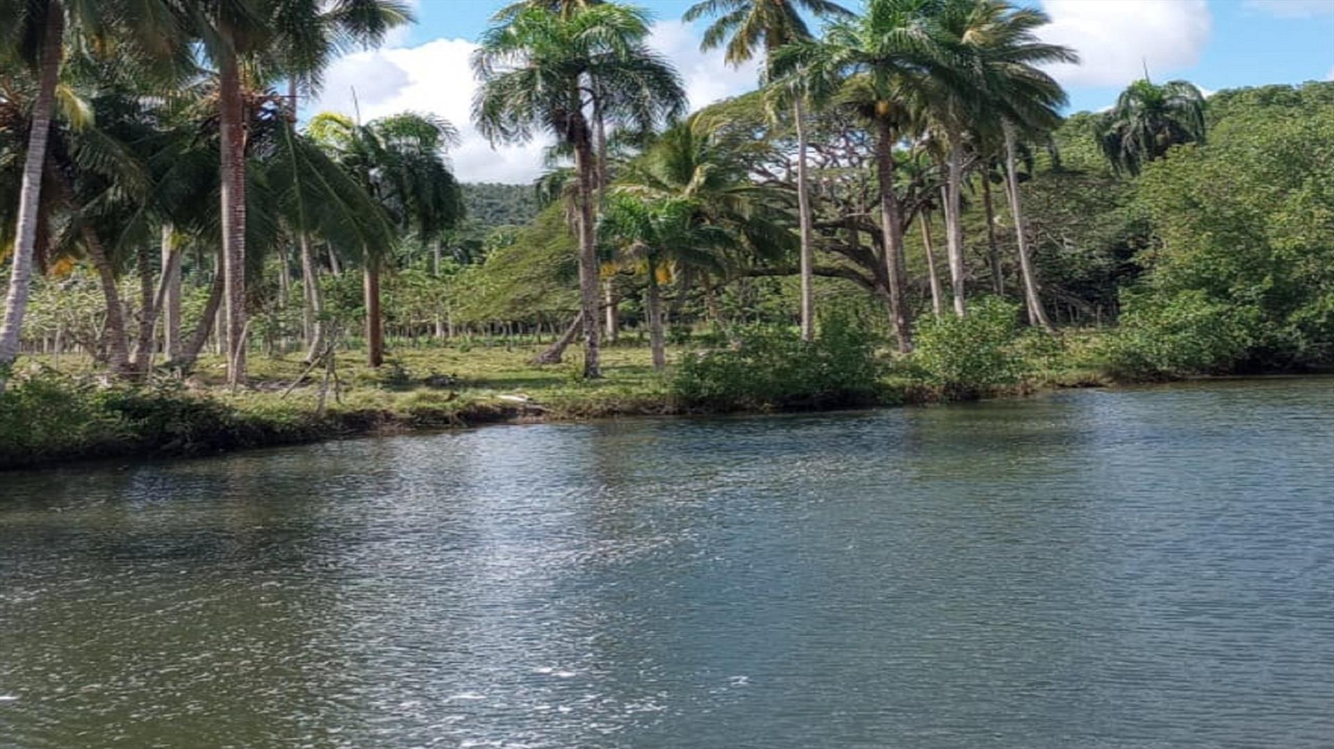 Terreno-en-primera-linea-de-playa-de-venta-en-gaspar-hernandez-republica-dominicana-2