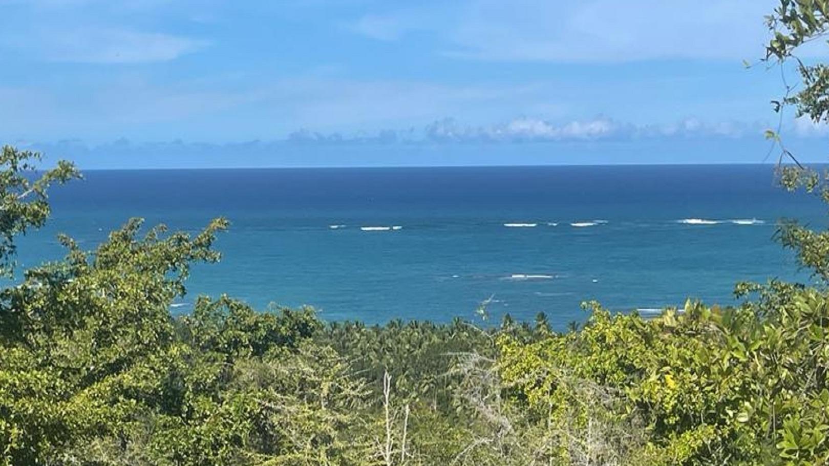 terreno-de-venta-en-la-primera-linea-playa-en-gaspar-hernandez-moca-republica-dominicana-2