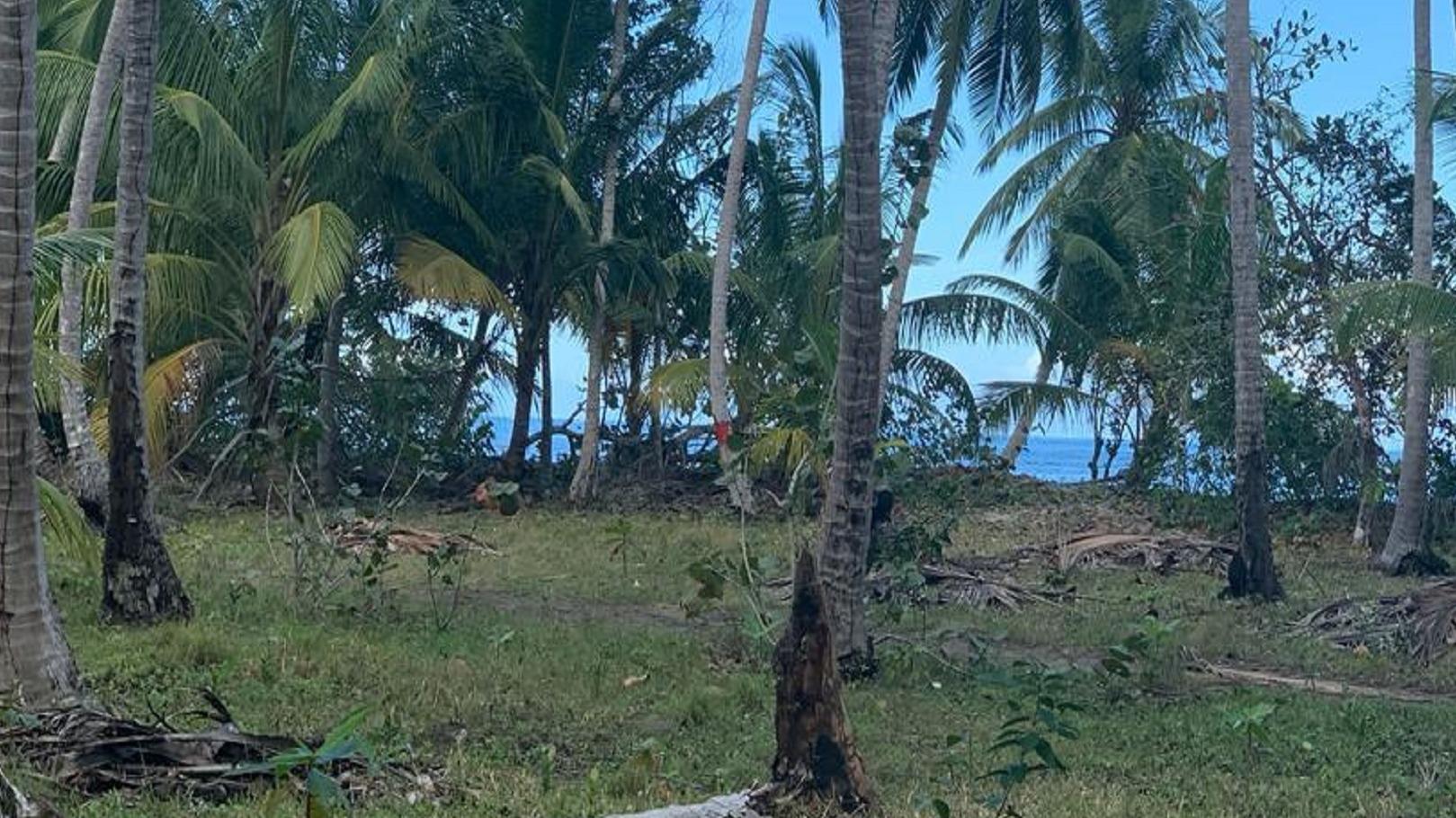 terreno-de-venta-en-la-primera-linea-playa-en-gaspar-hernandez-moca-republica-dominicana-3