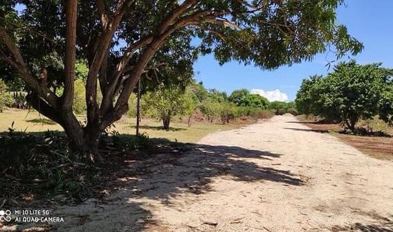 Solares-de-venta-en-san-cristobal-directorio-inmobiliario-republica-dominicana