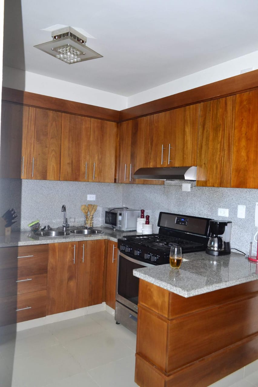 Apartamento en venta en Santiago