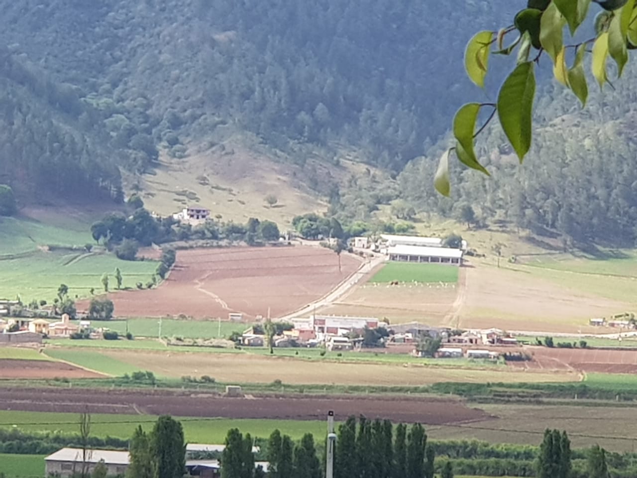 finca-grande-y-barata-de-venta-en-constanza