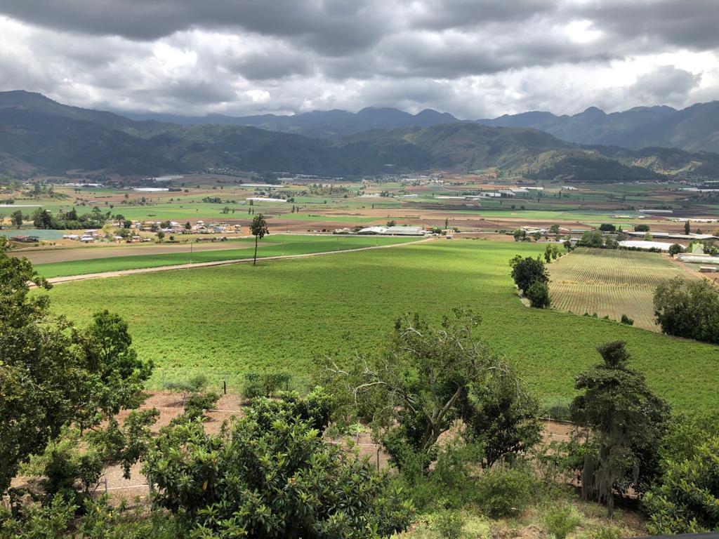 finca-grande-y-barata-de-venta-en-constanza