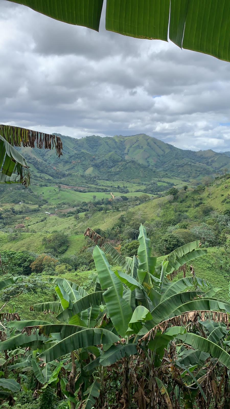 finca-venta-el-seibo