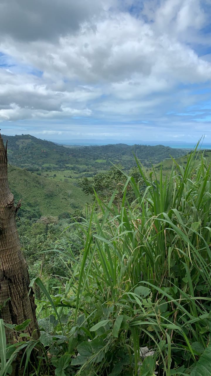 finca-venta-el-seibo