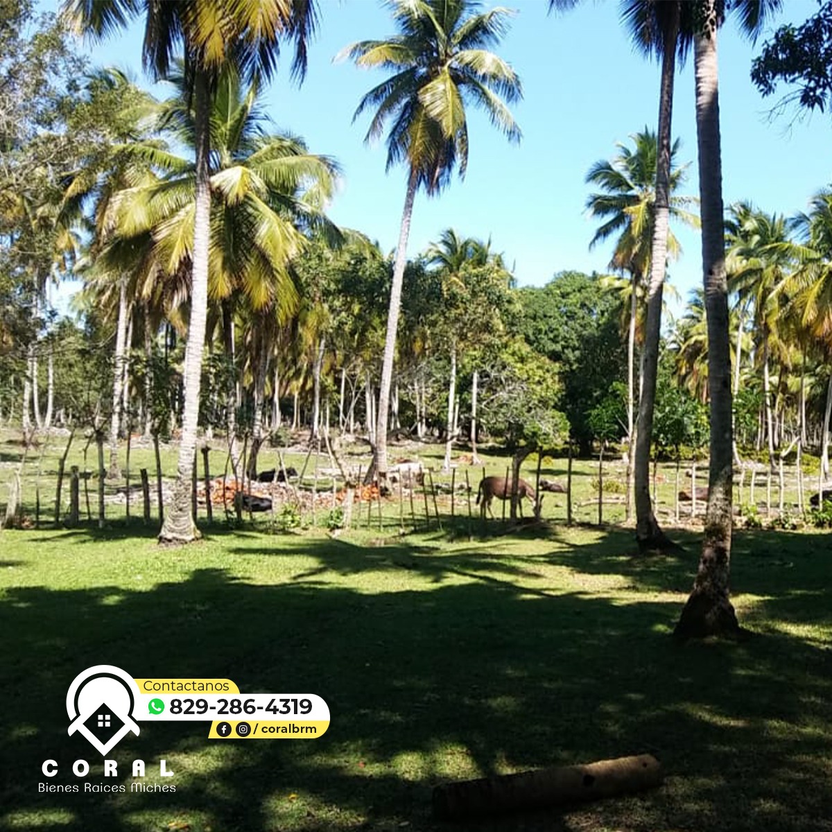 finca-venta-hato-mayor