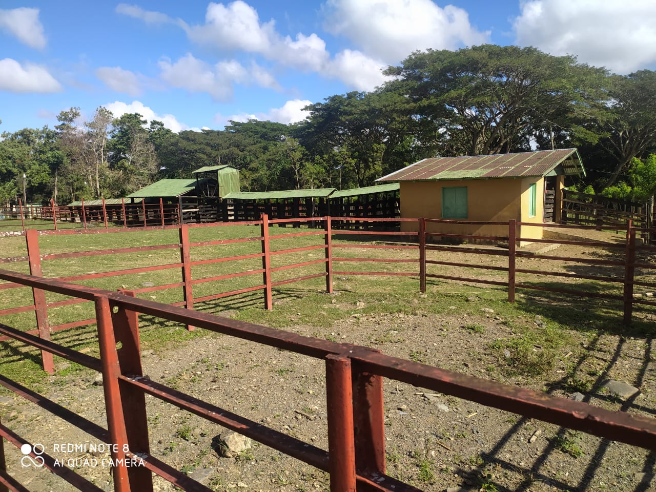 finca-venta-monte-plata