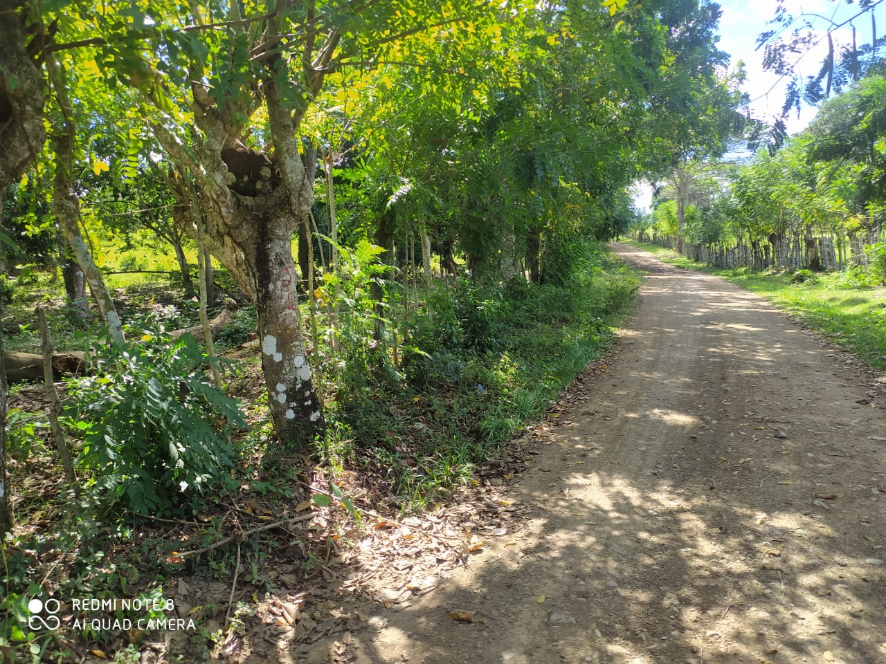 finca-venta-monte-plata