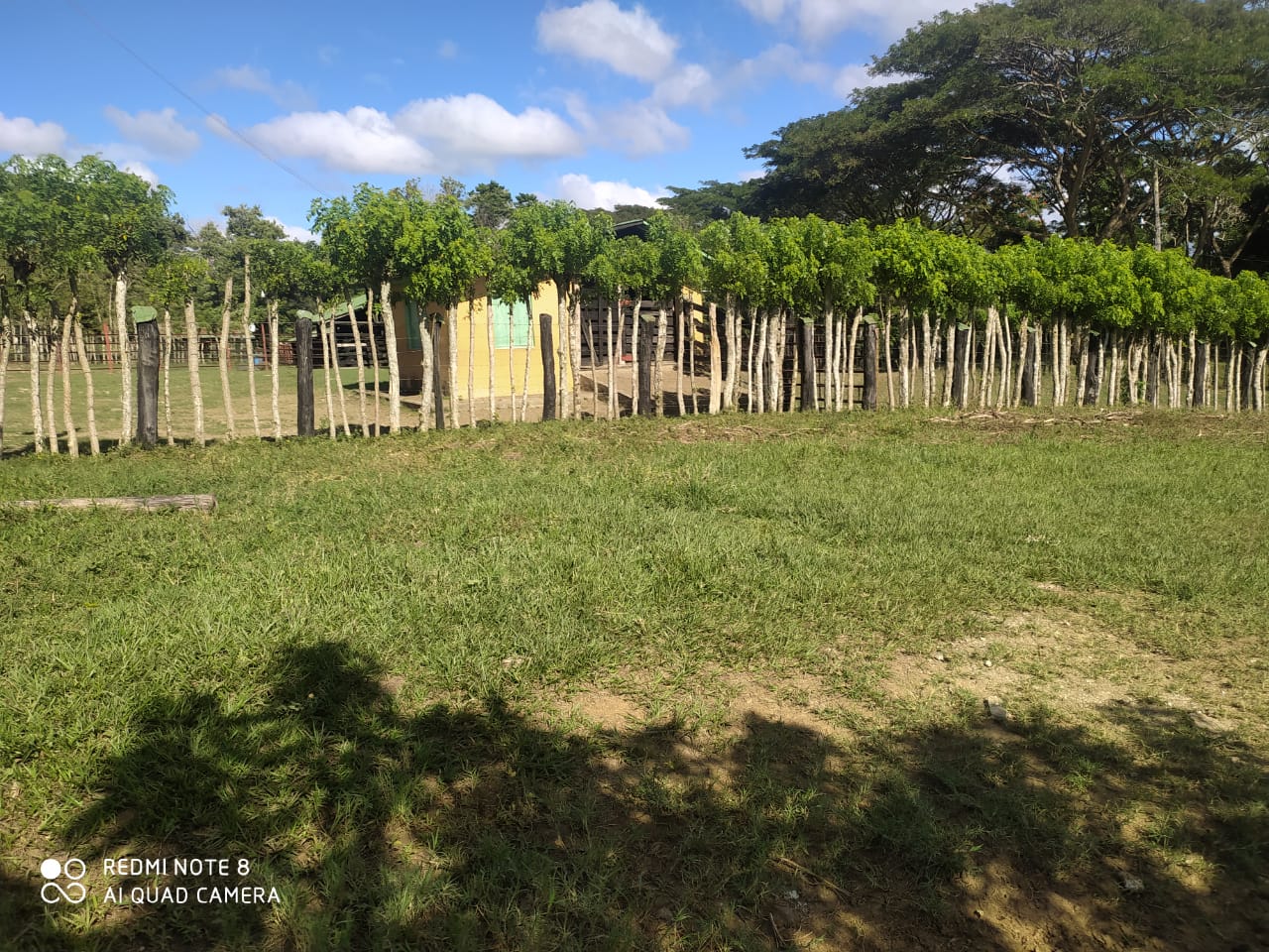 finca-venta-monte-plata