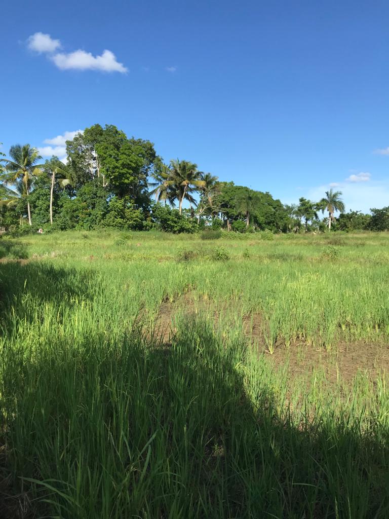 finca-venta-monte-plata