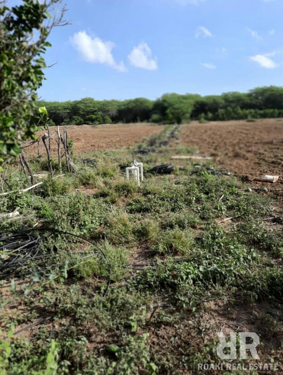 finca-venta-montecristi