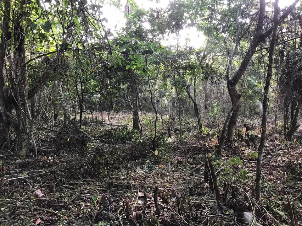 se-vende-6-tarea-de-tierra-en-san-cristobal-republica-dominicana