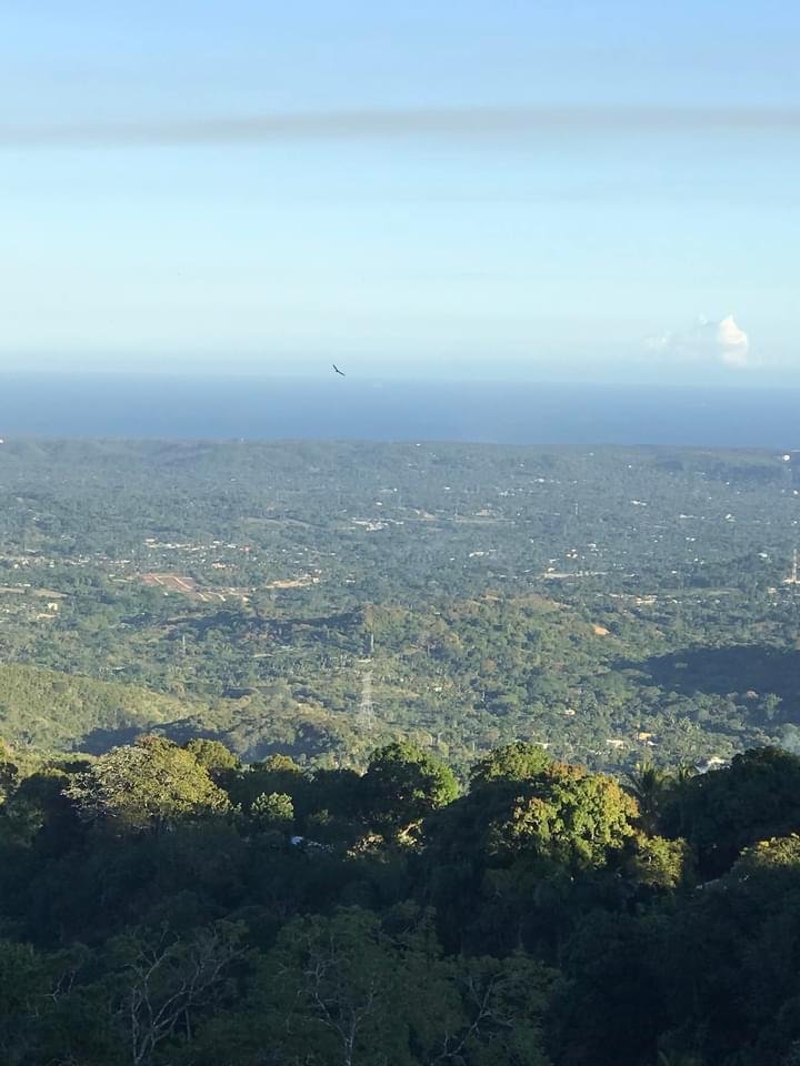 se-vende-6-tarea-de-tierra-en-san-cristobal-republica-dominicana