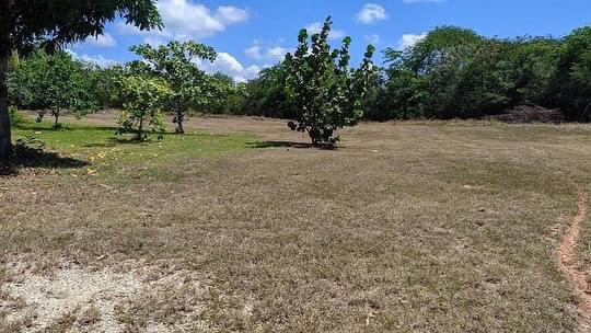 se-vende-finca-barata-en-san-cristobal-republica-dominicana 