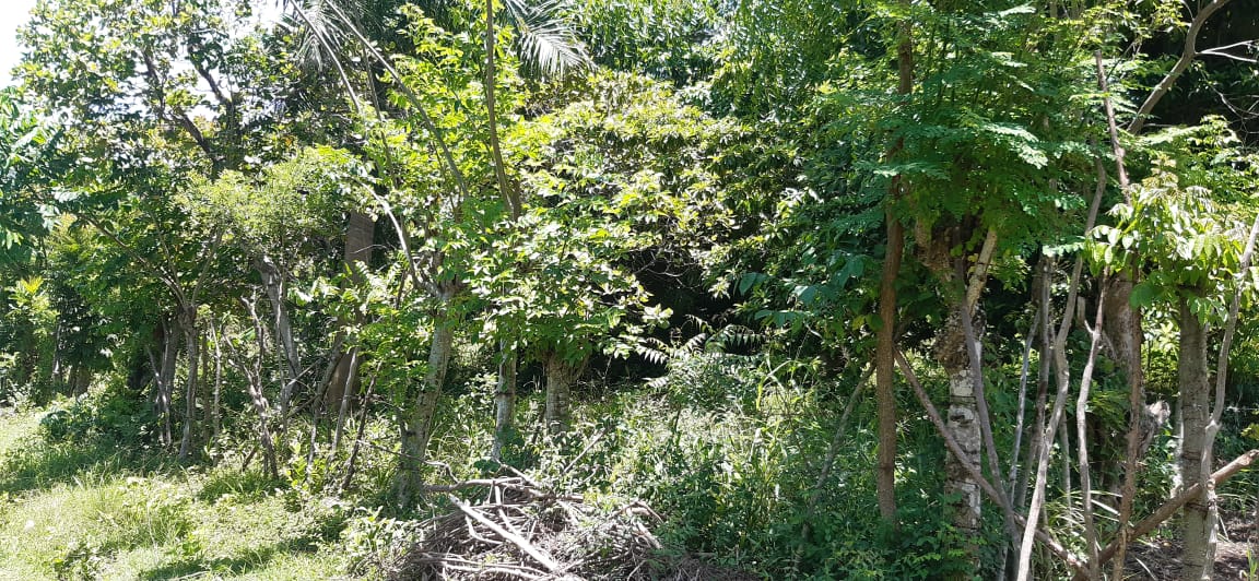 solar-de-venta-barato-en-san-cristobal-republica-dominicana