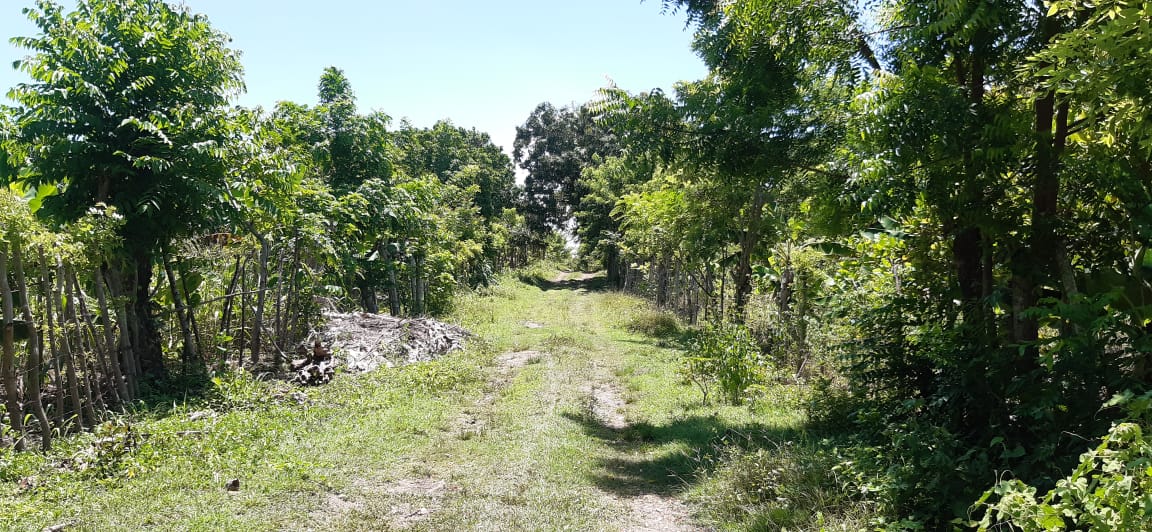 solar-de-venta-barato-en-san-cristobal-republica-dominicana