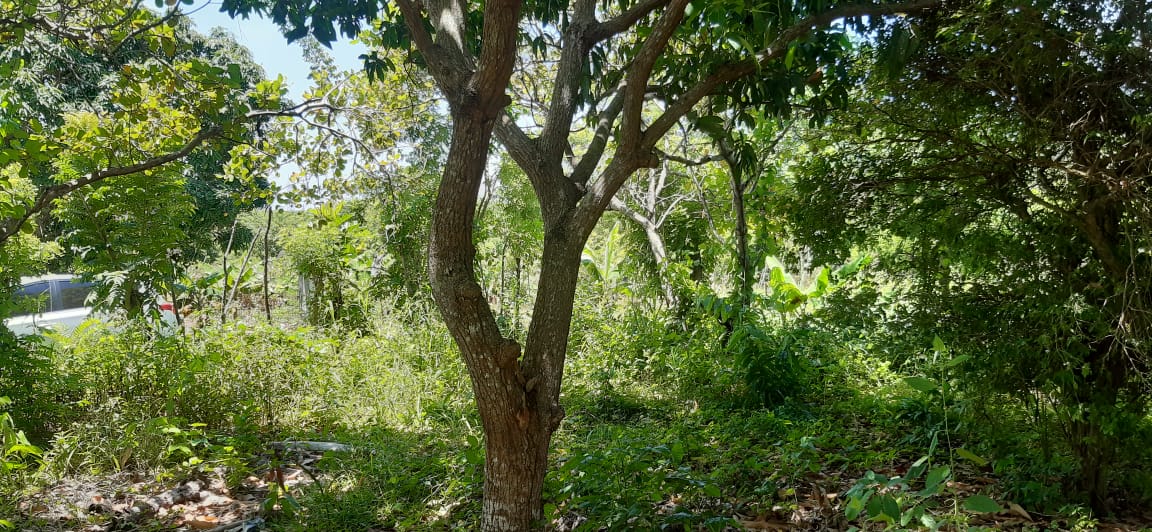 solar-de-venta-barato-en-san-cristobal-republica-dominicana