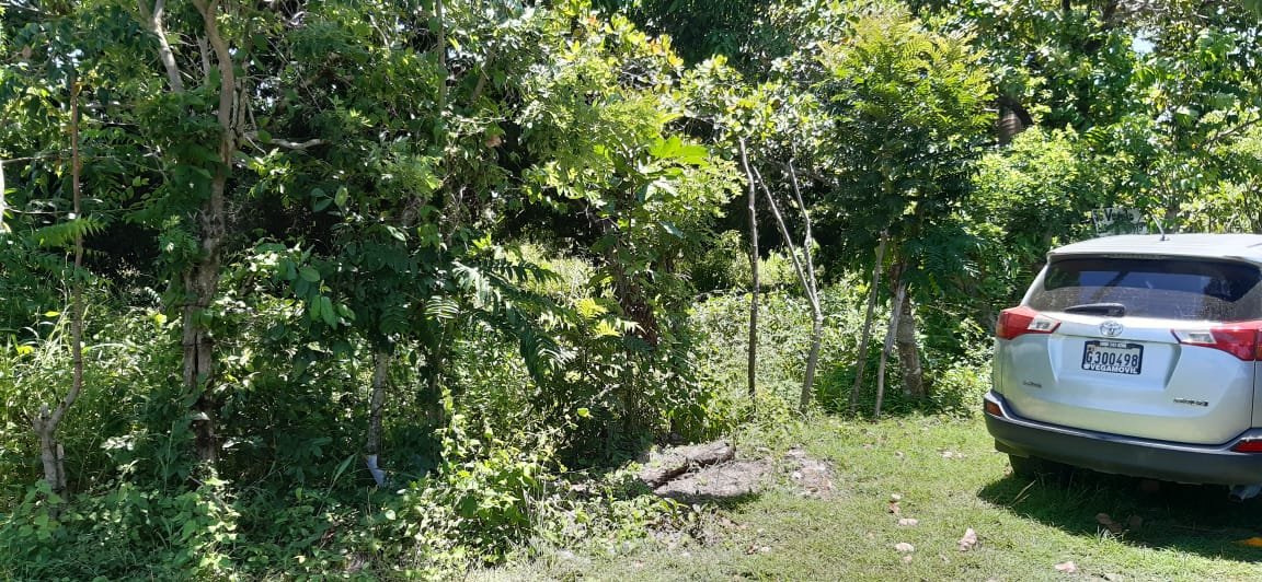 solar-de-venta-barato-en-san-cristobal-republica-dominicana