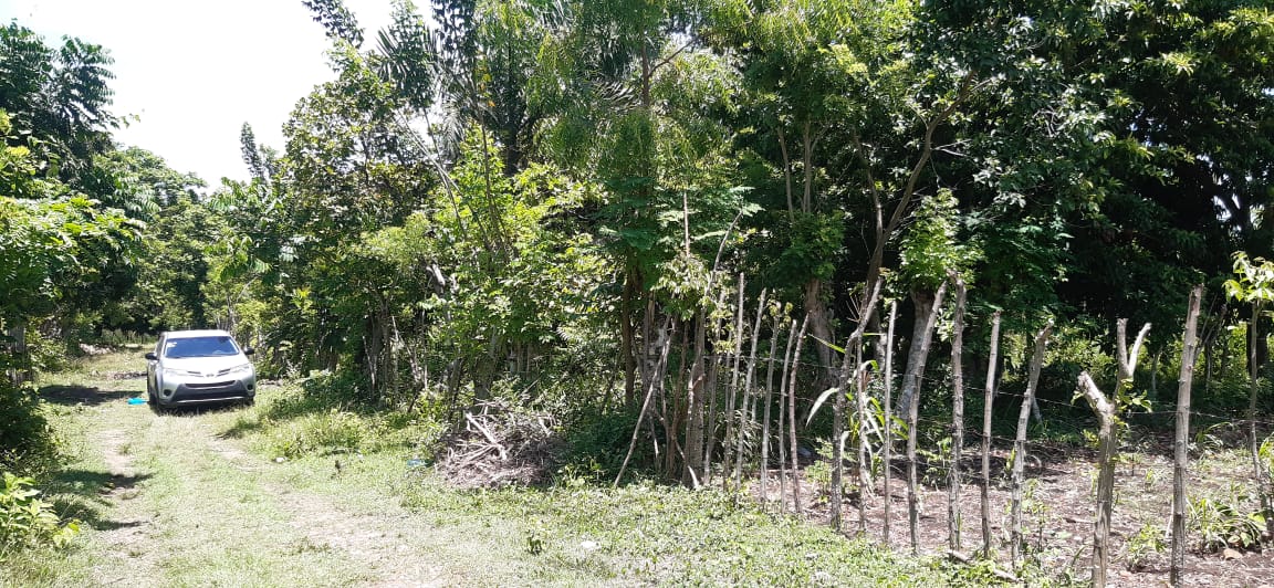 solar-de-venta-barato-en-san-cristobal-republica-dominicana