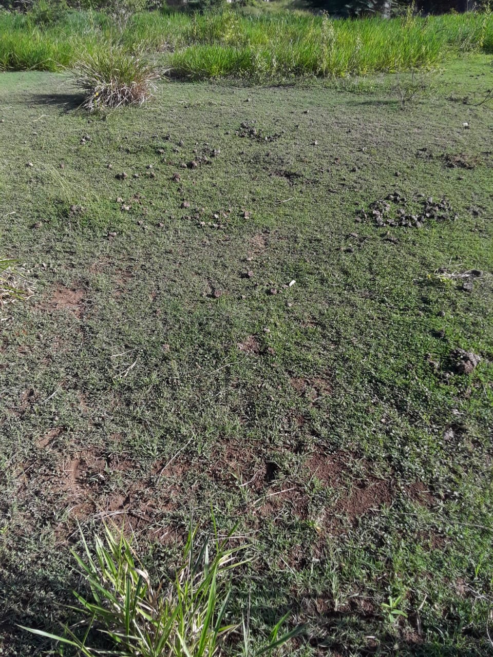 solar-de-venta-en-cerro-verde-en-puerto-plata