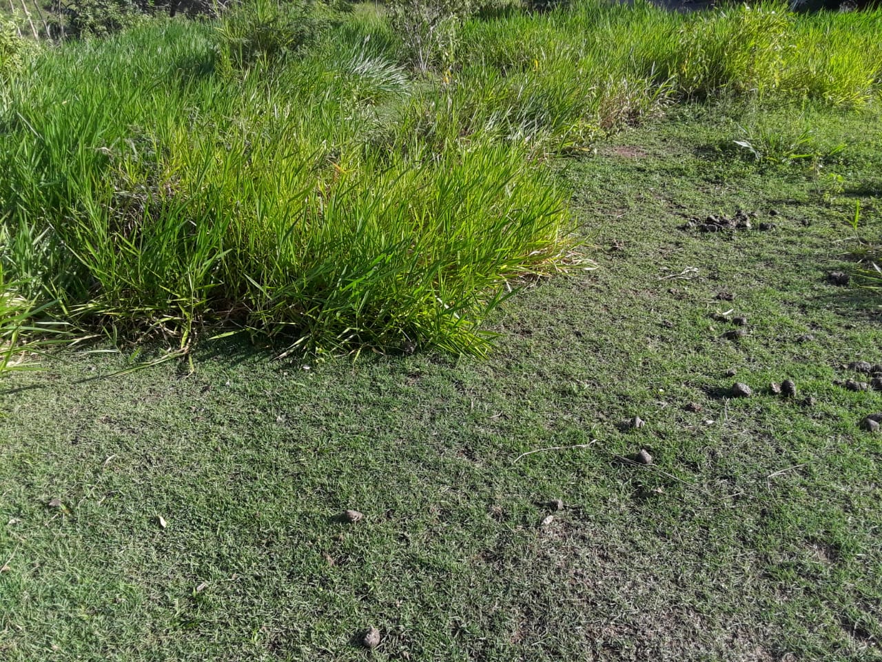 solar-de-venta-en-cerro-verde-en-puerto-plata 