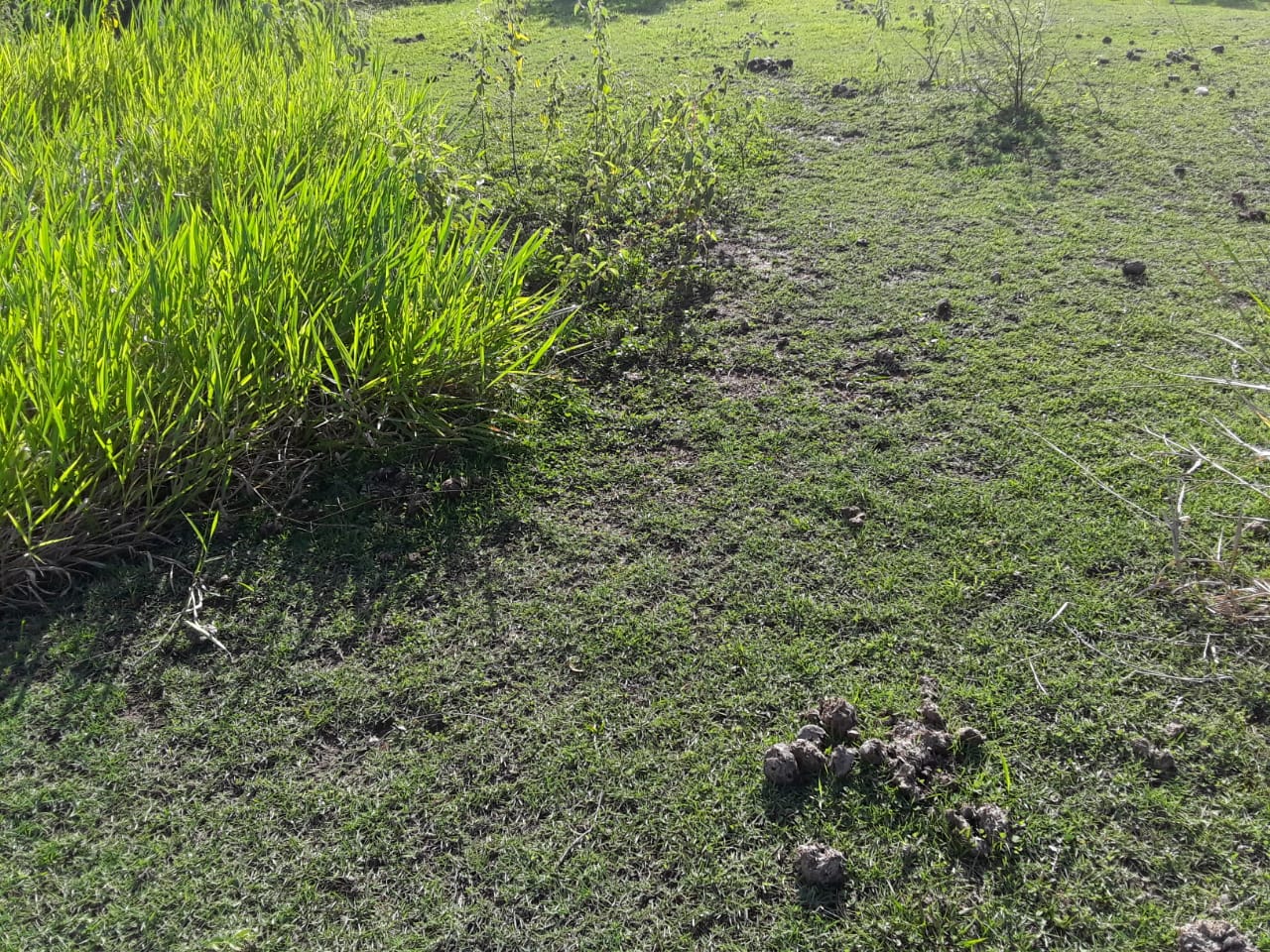 solar-de-venta-en-cerro-verde-en-puerto-plata 