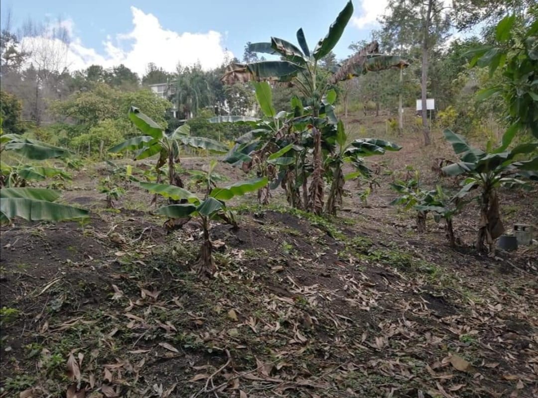 solar-de-venta-en-santo-domingo-pedro-brand