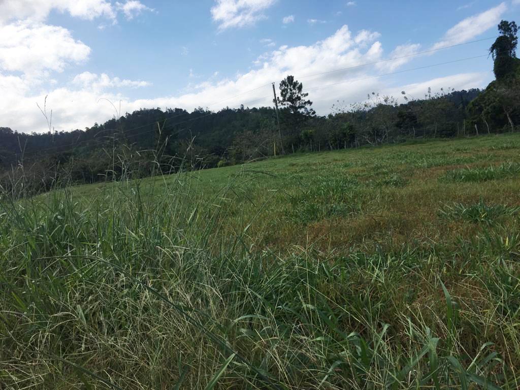 solar-venta-la-vega-jarabacoa