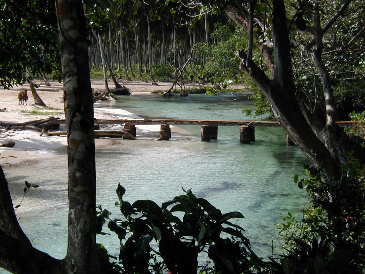 solar-venta-samana-las-galeras-playa-rincon