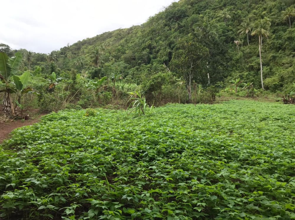 terreno-cerca-de-la-playa-de-venta-en-samana