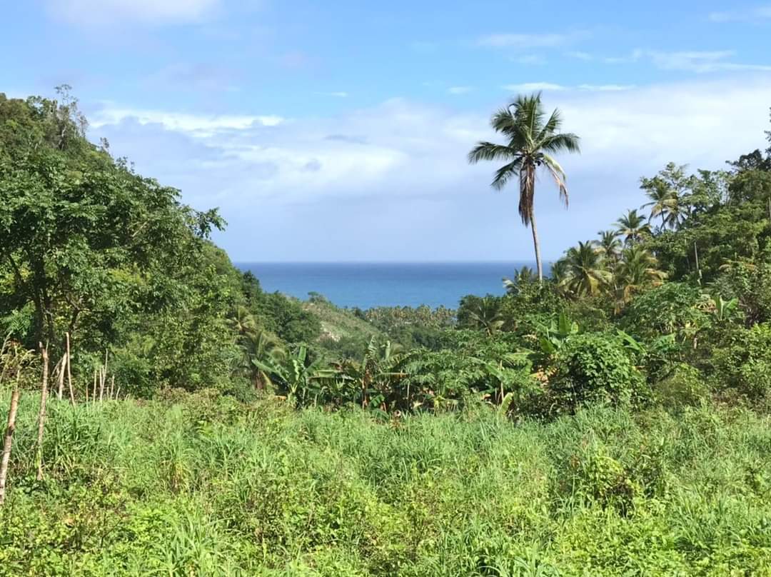 terreno-cerca-de-la-playa-de-venta-en-samana