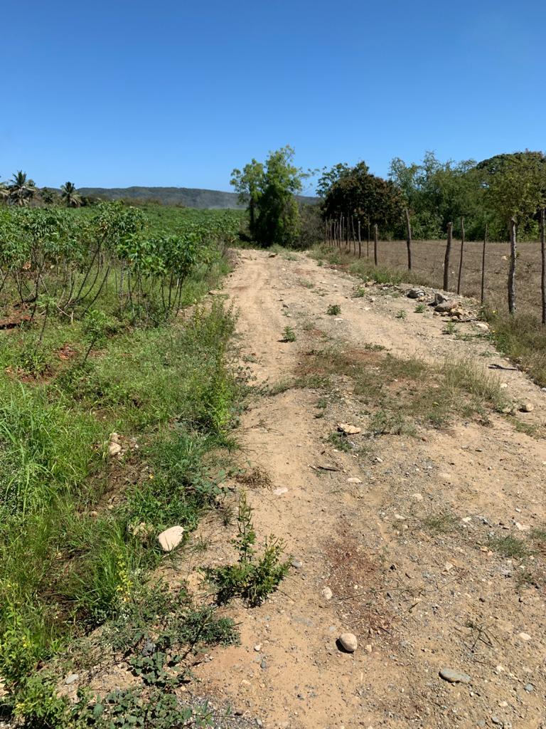 venta-de-finca-pequeña-en-bani